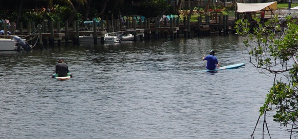 Paddle Boarders at Burt Reynolds Pak in the Lake Worth River